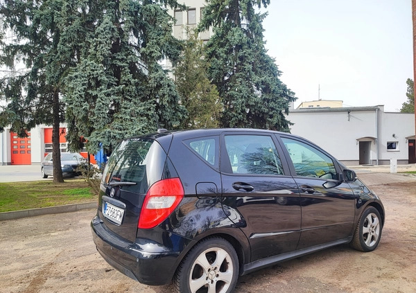 Mercedes-Benz Klasa A cena 12499 przebieg: 239790, rok produkcji 2009 z Szamotuły małe 79